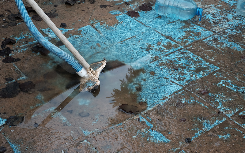 dirty old junky swimming pool needs abatement denton tx