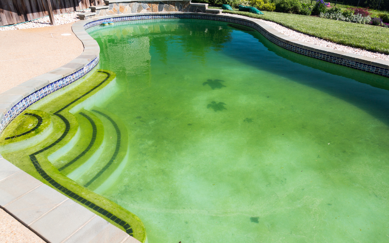 Remove A Pool ntxpoolremoval.com