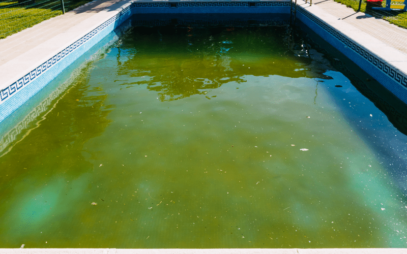 abandoned-denton-swimming-pool-with-green-rotten-water